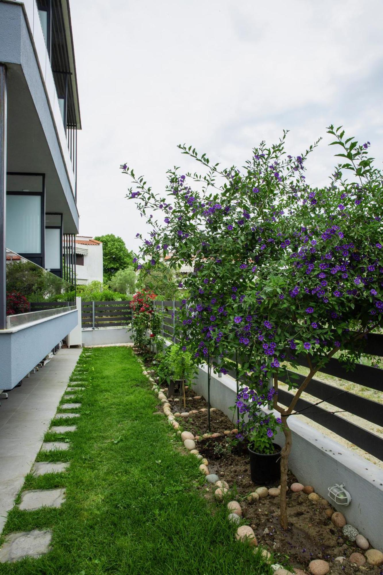 Artemida Suites Chaniotis Extérieur photo